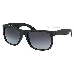 Ray's RS4165 601/8G С/З